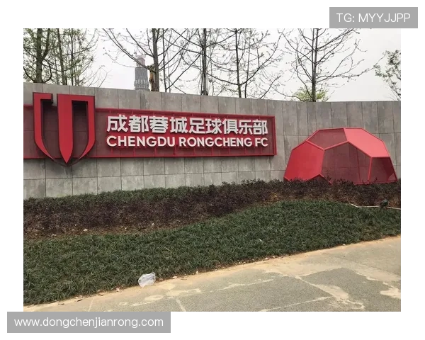 成都足球队战术解析与球员配合的深度探讨与展望